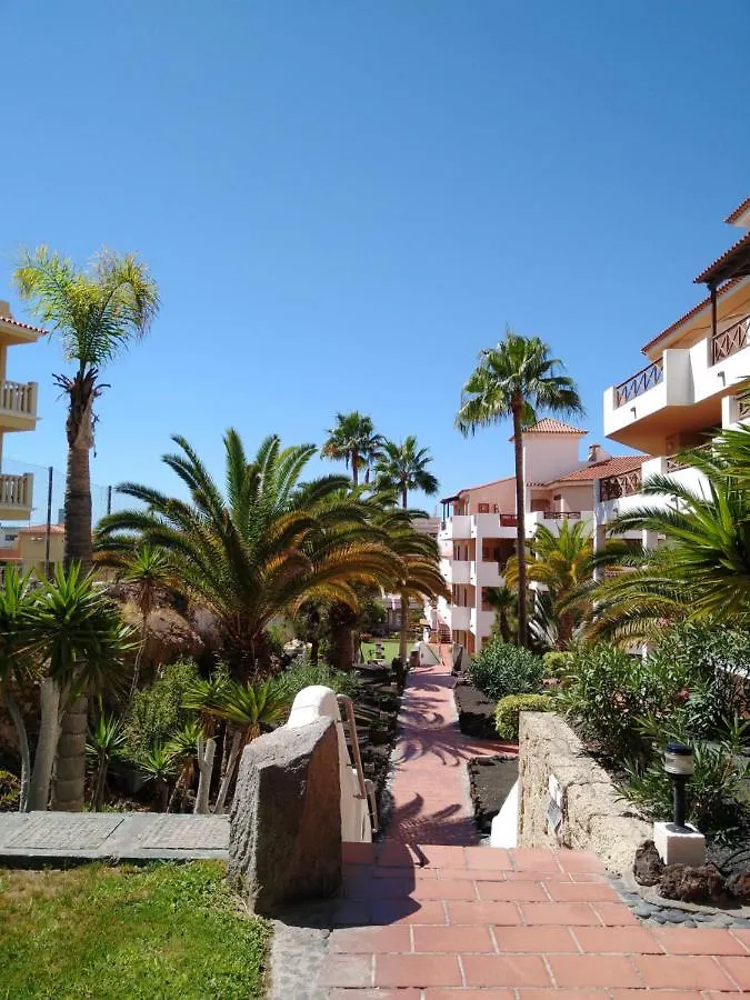 公寓 Forest Flat - Big Heated Pool, Terrace, Tv Channels, Golf Courses 圣米格尔德阿沃纳
