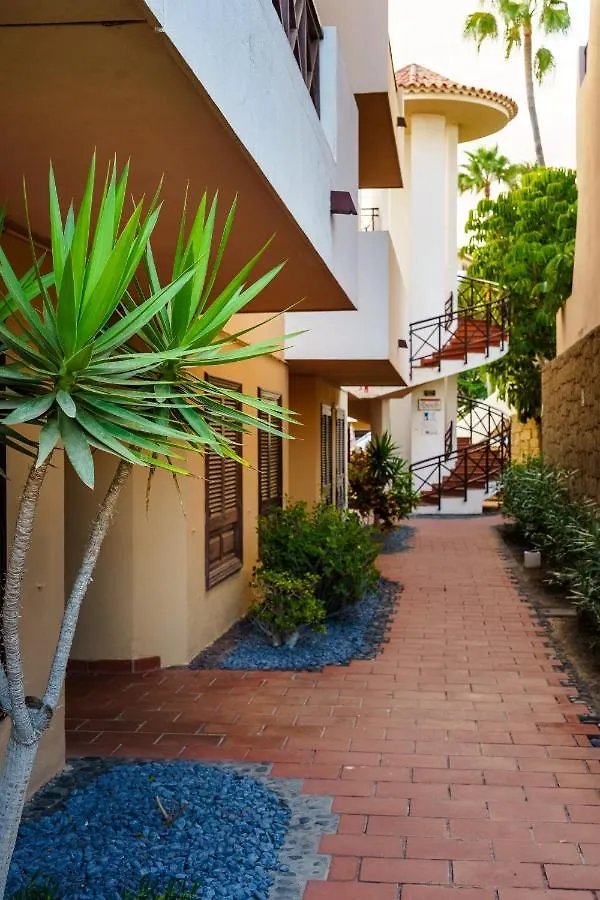 公寓 Forest Flat - Big Heated Pool, Terrace, Tv Channels, Golf Courses 圣米格尔德阿沃纳